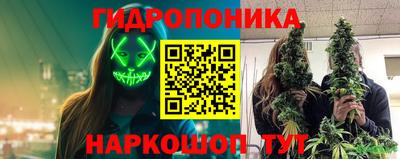 гашик Берёзовский