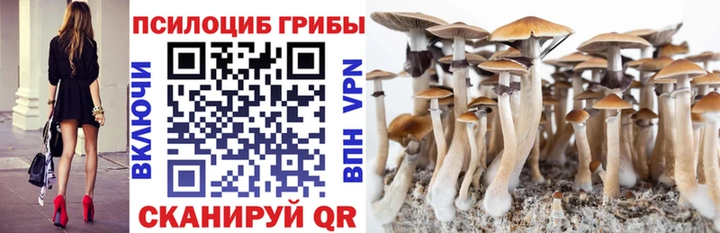 купить  цена  блэк спрут   Псилоцибиновые грибы MAGIC MUSHROOMS  Спасск-Дальний 