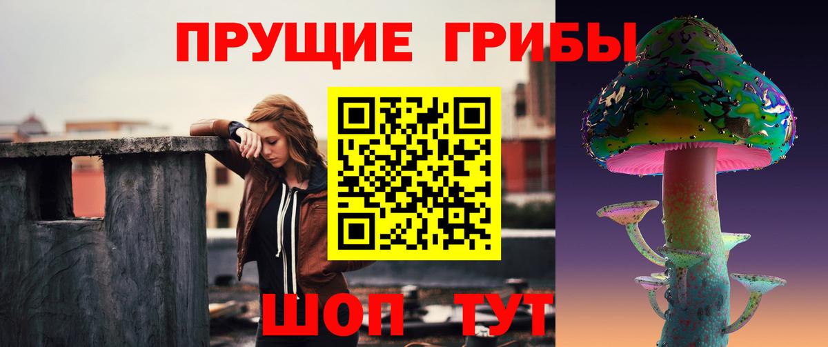 Спасск-Дальний  Галлюциногенные грибы MAGIC MUSHROOMS  Вход с VPN 