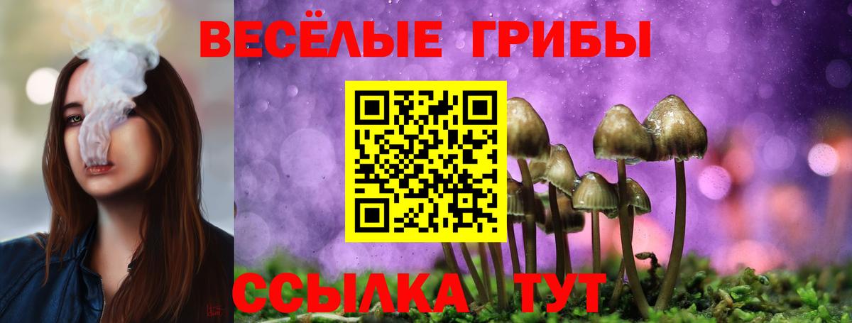 Галлюциногенные грибы Psilocybe Спасск-Дальний
